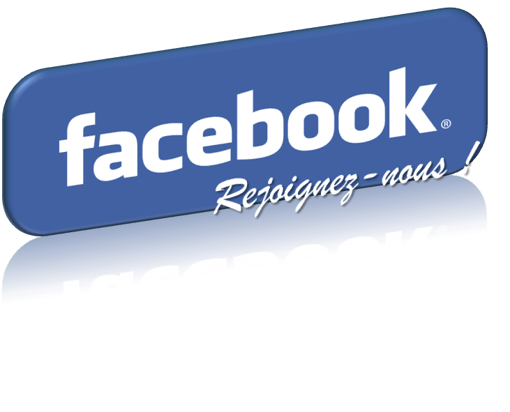 logo facebook mg803h